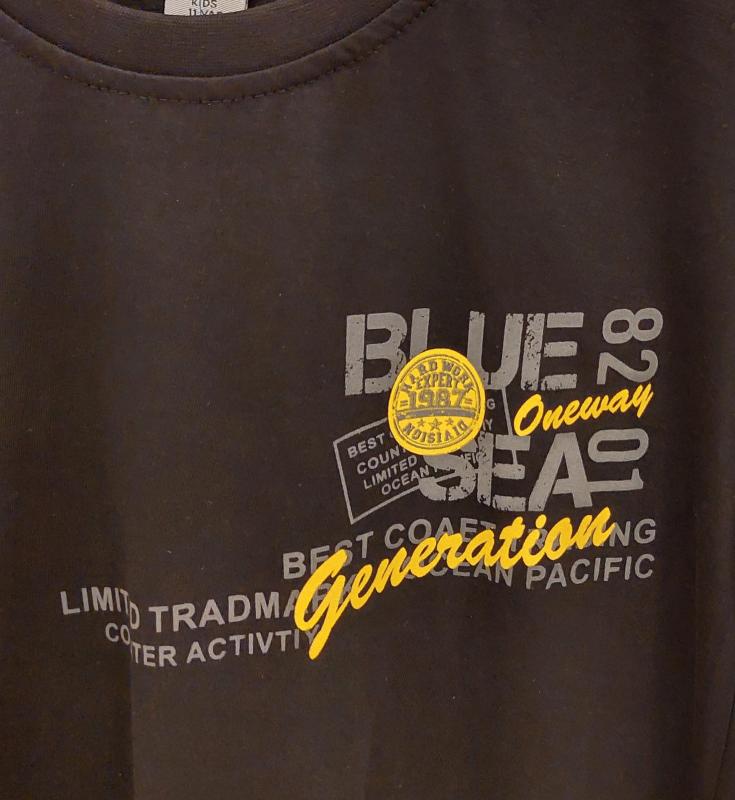 ŞİAR Kids 6063-1 Erkek Çocuk Blue Sea Penye Tişört
