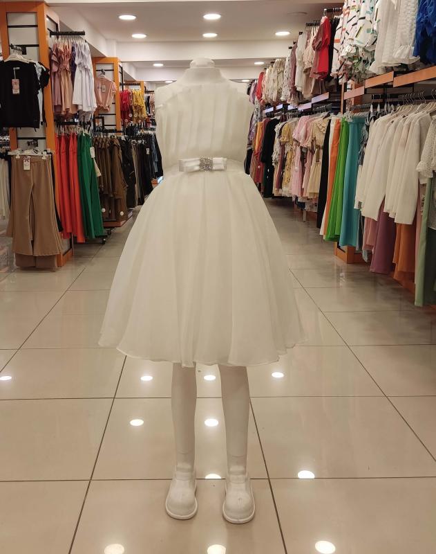 DAİSYGİRLS Kids 2237 Organize Roba Pileli Çocuk Abiye