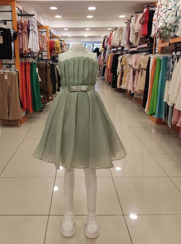 DAİSYGİRLS Kids 2237 Organize Roba Pileli Çocuk Abiye