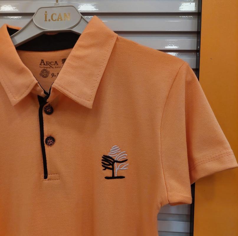 ARCA Kids 3041 Erkek Çocuk Polo Yaka Lakos Tişört
