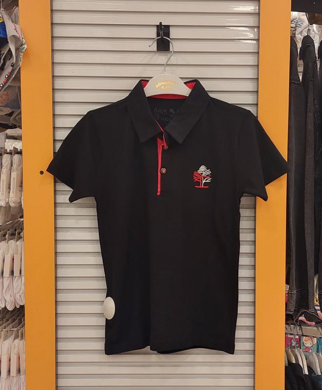 ARCA Kids 3041 Erkek Çocuk Polo Yaka Lakos Tişört